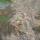 Image for article titled Our First Look At The New Zelda, Breath of the Wild